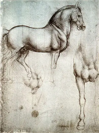 Paardenstudie Leonardo da Vinci